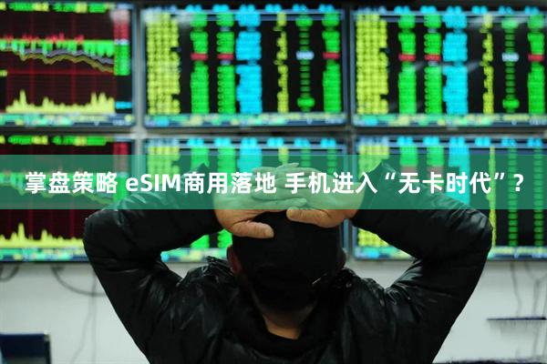 掌盘策略 eSIM商用落地 手机进入“无卡时代”？
