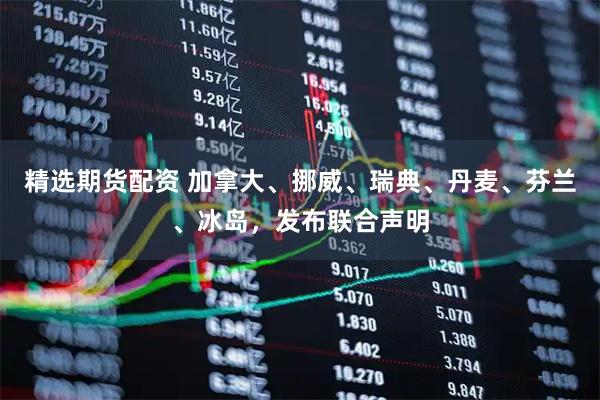 精选期货配资 加拿大、挪威、瑞典、丹麦、芬兰、冰岛，发布联合声明